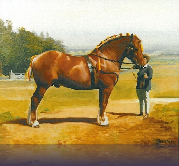 8 - Rowhedge Count II - 50 x 40 cm